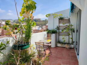 Penthouse Terrace